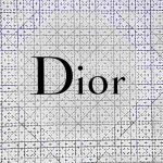 Dior book tote vs longchamp vs uniqlo canvas tote hierarchy