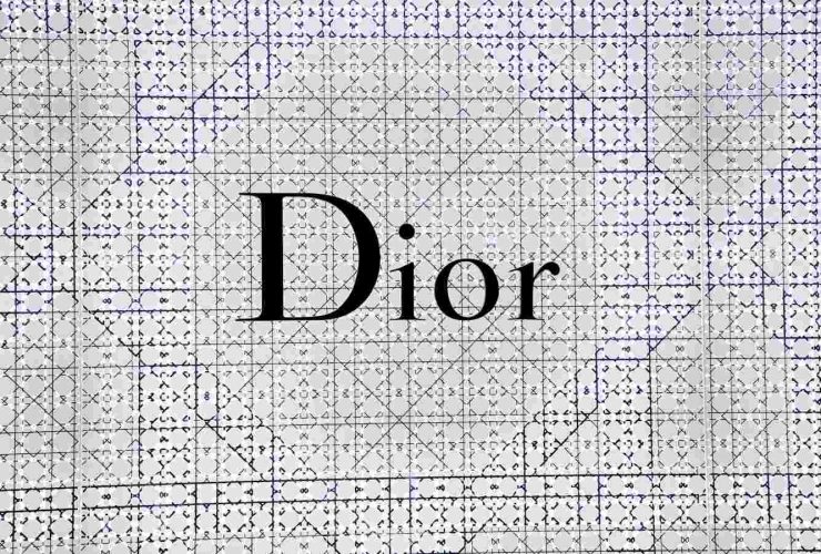 Dior book tote vs longchamp vs uniqlo canvas tote hierarchy