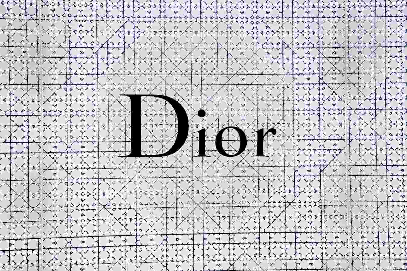Dior book tote vs longchamp vs uniqlo canvas tote hierarchy