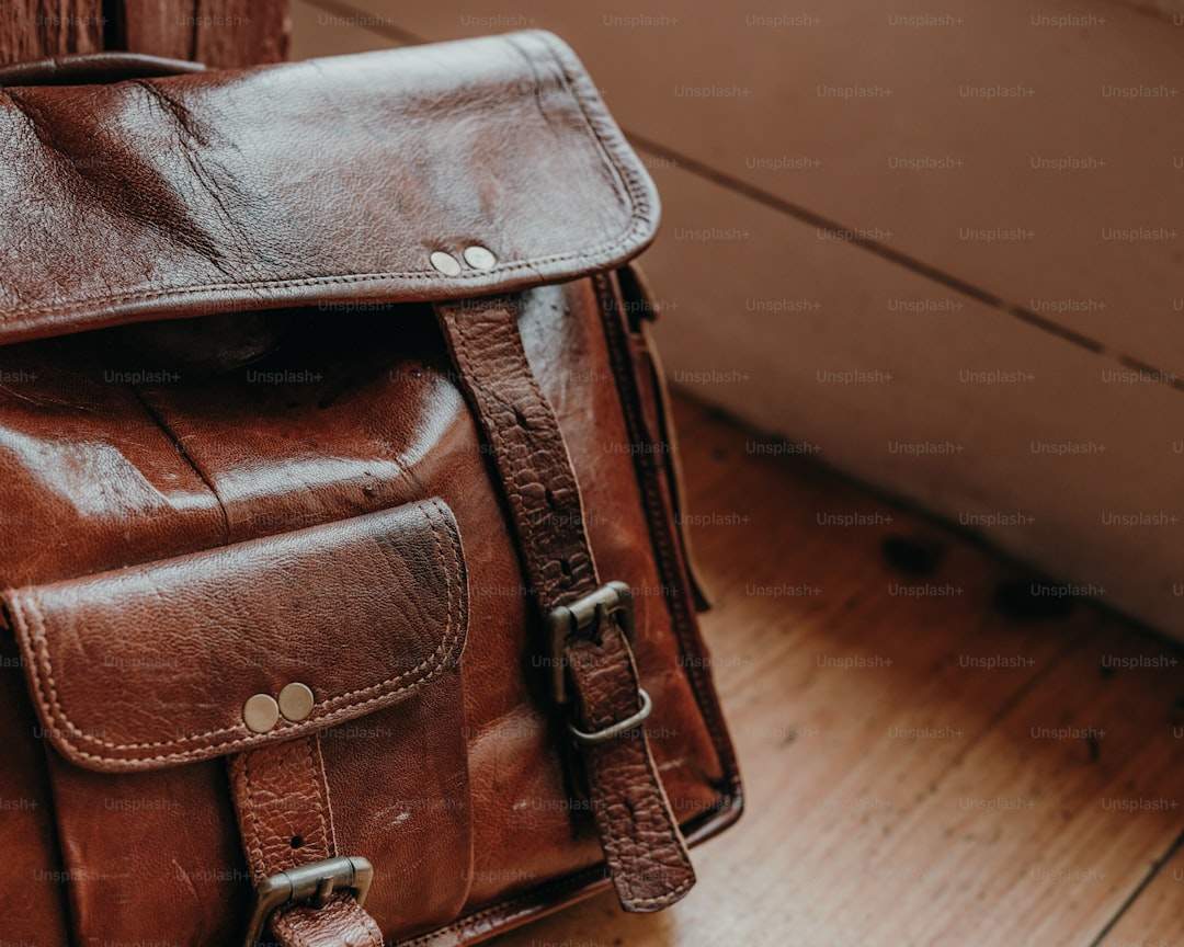 Coach Tabby vs Polene vs Mansur Gavriel handbag comparison