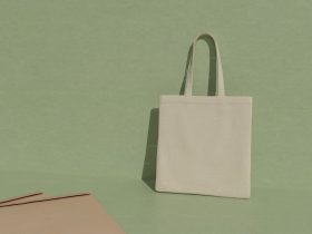 The Row Margaux tote bag vs Mango and Massimo Dutti dupes