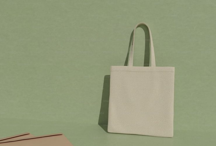 The Row Margaux tote bag vs Mango and Massimo Dutti dupes
