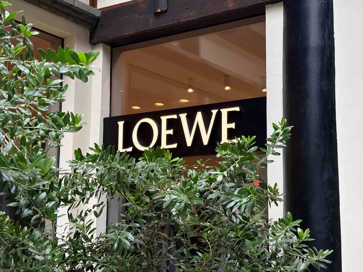 Loewe puzzle dupe mango massimo dutti geometric bag
