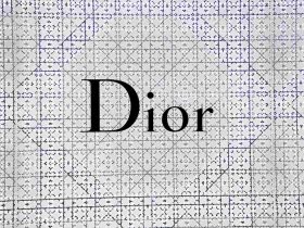 Dior book tote vs longchamp vs uniqlo canvas tote hierarchy