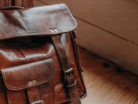 Coach Tabby vs Polene vs Mansur Gavriel handbag comparison